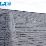 ტეგოლა - შინგლი