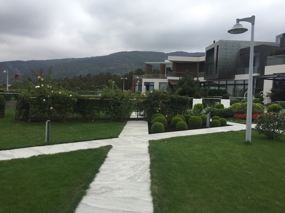 Green Roof Modernroofing Ge